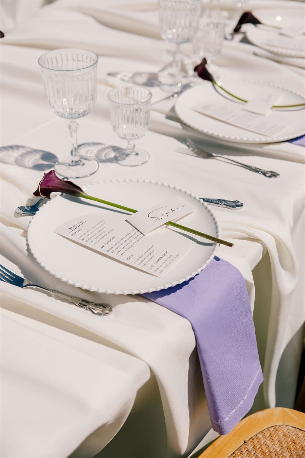 Weddings in Halkidiki 13