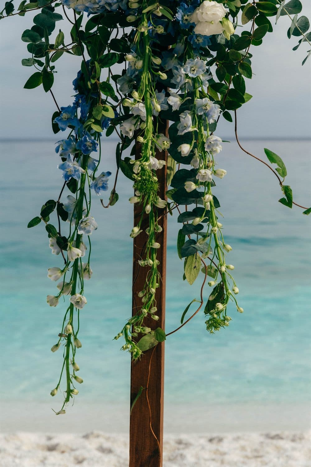 Bethany and Douglas - 43